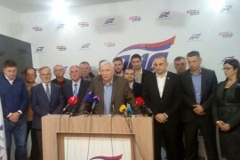 Pavić isključio Čubrilovića iz DNS-a