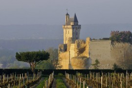 "Tikveš" kupuje francusku vinariju