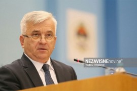 Čubrilović: Poremećaj u DNS-u izazvali ljudi koji su u stranci zbog ...