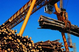 U trećem kvartalu smanjena proizvodnja šumskih sortimenata
