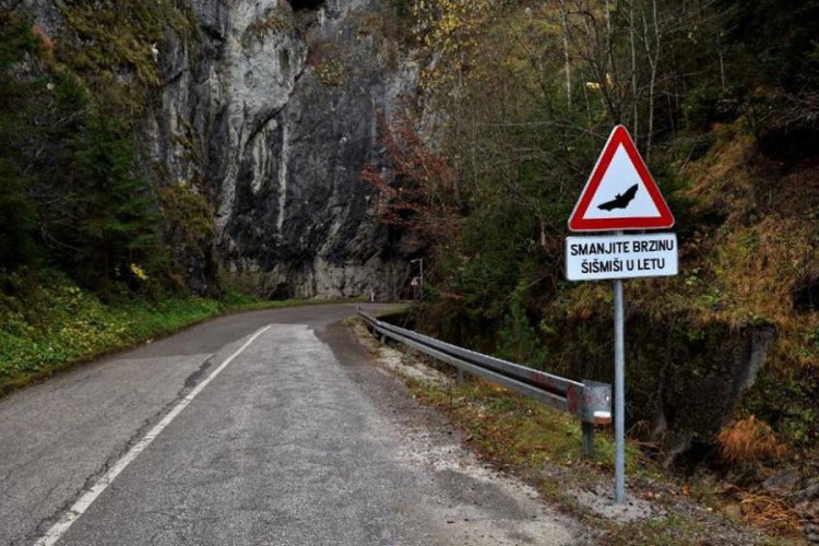 Prvi u svijetu: Kod Vareša postavljen znak koji upozorava na šišmiše