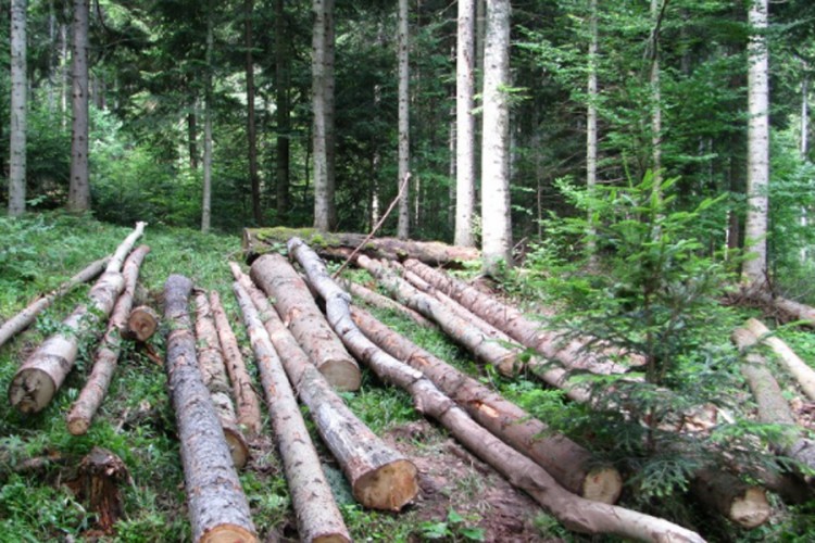 Nezadovoljni i otpušteni radnici traže smjenu direktora ŠG "Klekovača-Potoci"