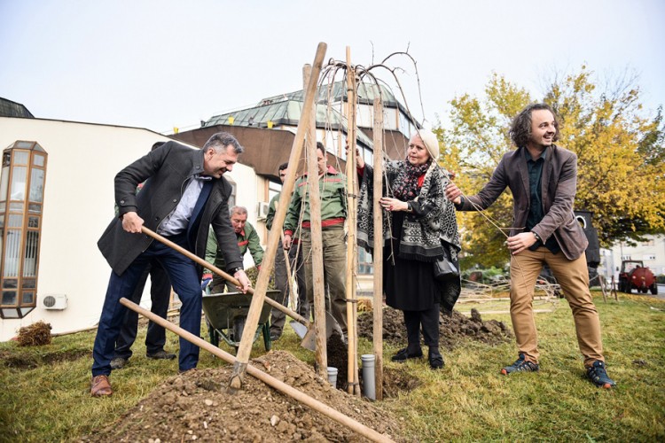 Novih 1.000 sadnica za ljepši grad