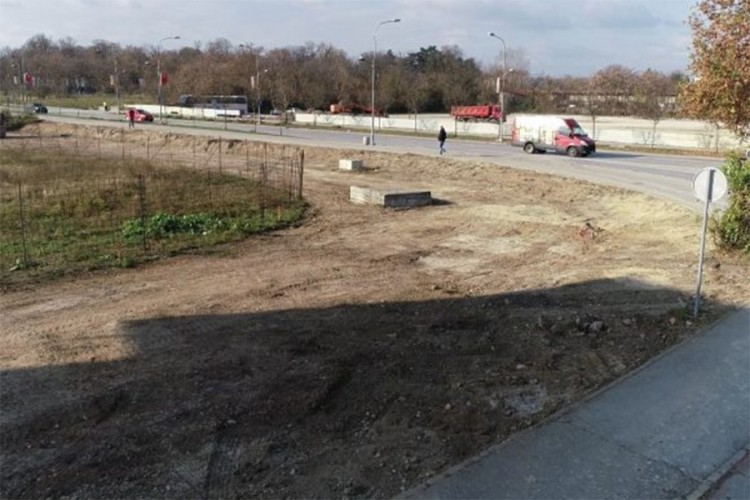 Posječeni platani na Banjalučkom polju