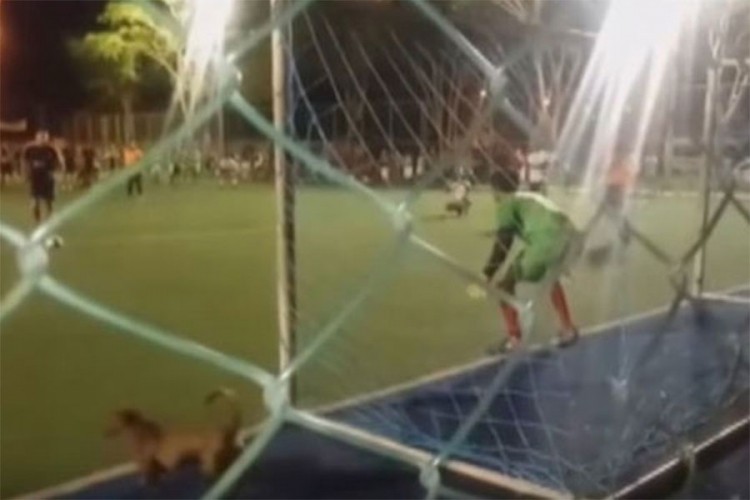 Najbolji golmanov prijatelj: Pas odbranio penal