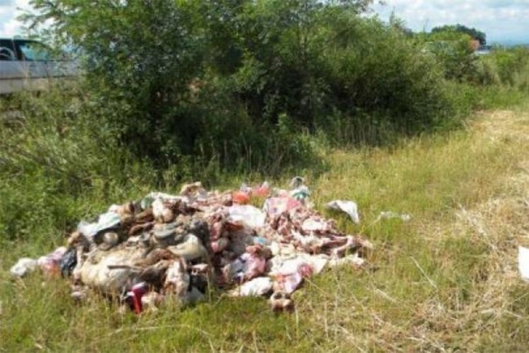 U RS ne postoje pogoni za životinjski otpad, završava i u prirodi