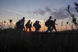 U Bijeljini pronađeno 13 ilegalnih migranata