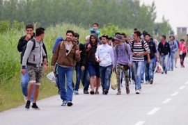 Do kraja novembra prijavljeno 23.058 ilegalnih migranata