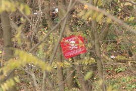 Međed: Doboj je minski najzagađenija lokalna zajednica u BiH