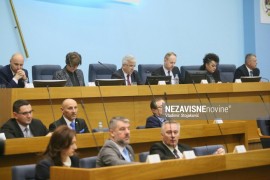 Konstituisani odbori, komisije i radna tijela NS RS