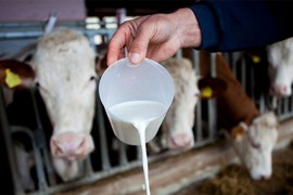 Farmeri gase proizvodnju i odlaze u inostranstvo