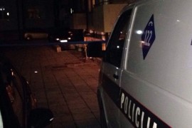 Izbjegavao životinju pa izazvao lančani sudar