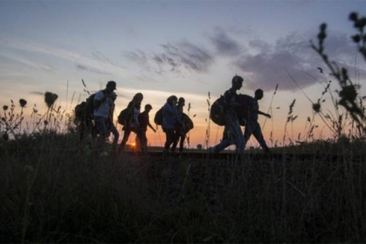 U Bijeljini pronađeno 13 ilegalnih migranata