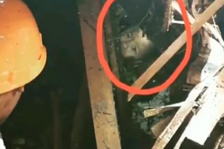 Dječak 12 sati proveo pod ruševinama, objavljen dirljiv video spasavanja