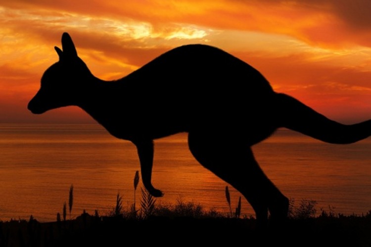 U Australiji najtopliji decembar u istoriji mjerenja