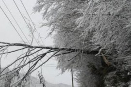 Bez struje stanovnici dvadesetak sela