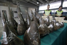 Pronađeni rogovi nosoroga vredni 1,7 miliona dolara