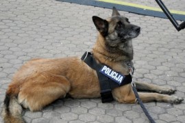 Psi će uskoro otkrivati drogu, eksploziv i sumnjive osobe na granicama ...