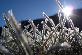 Sunčano i veoma toplo