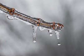Temperatura u ruskoj regiji pala na - 55