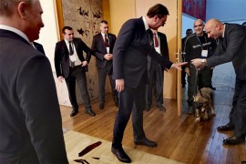 Pas Paša najviše naljutio kosovske Albance