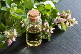 Najmoćniji prirodni antibiotik: Ulje divljeg origana