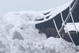 Srušio se krov na farmi u Tomislavgradu i usmrtio 15 goveda