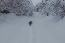 Srbi u Livanjskom polju ne mogu ni sahranu obaviti zbog snijega