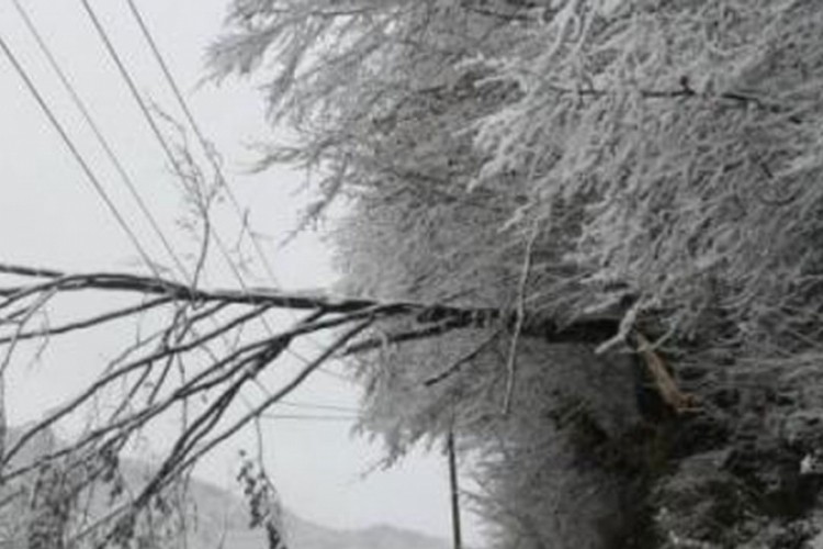 Bez struje stanovnici dvadesetak sela