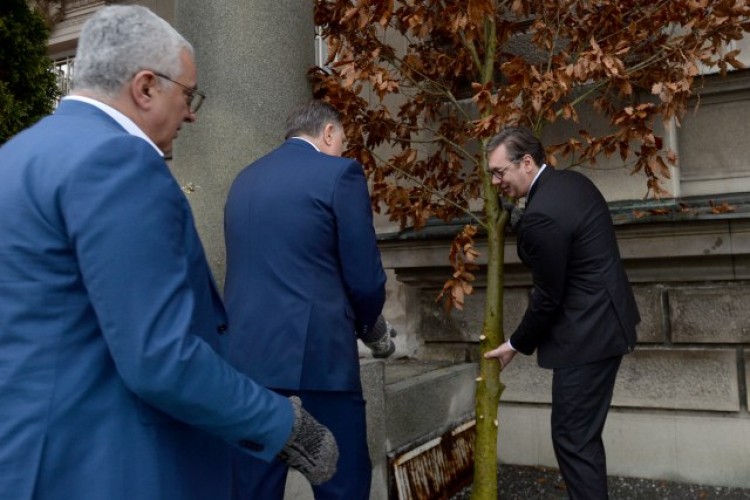 Unošenjem badnjaka u zgradu Predsjedništva počelo obilježavanje Badnjeg dana