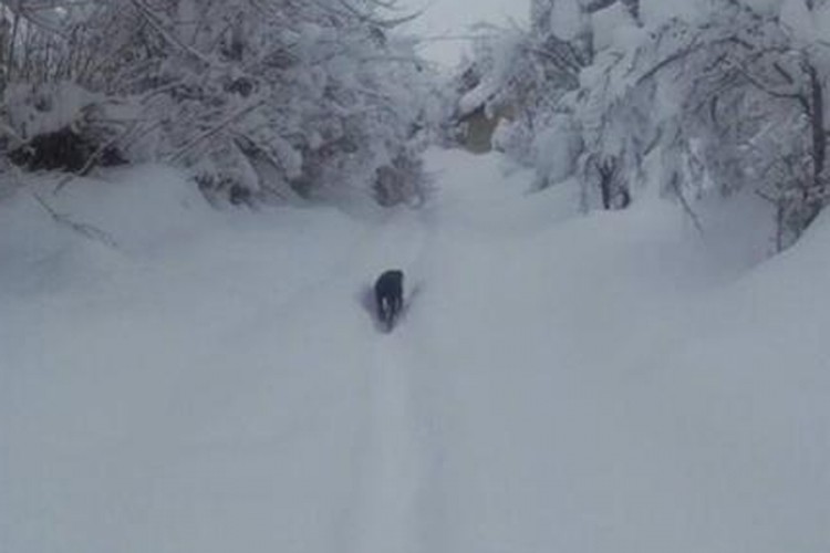 Srbi u Livanjskom polju ne mogu ni sahranu obaviti zbog snijega