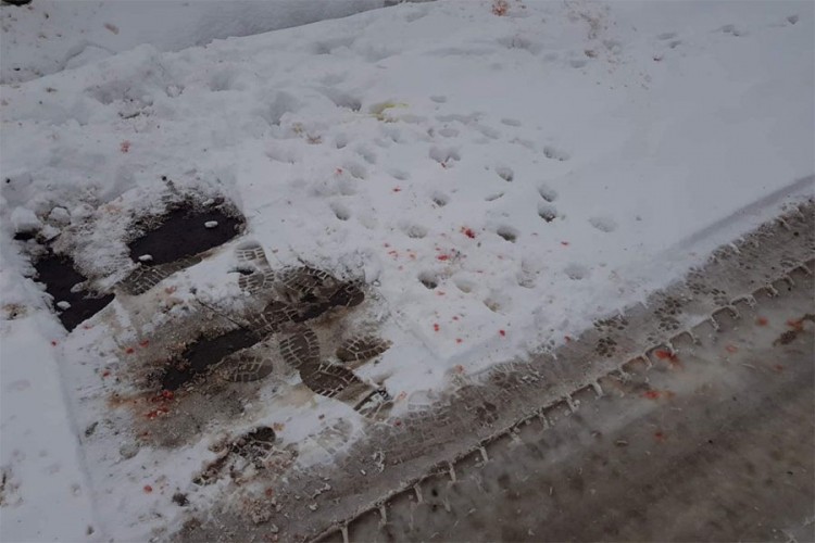 S fantomkama na glavama izvršili pokolj nad 30 pasa