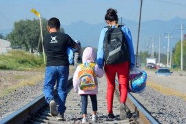 Pronađeno 12 migranata u Gradišci