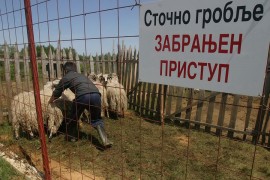 Korak bliže zbrinjavanju animalnog otpada