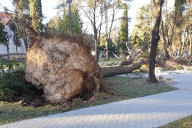 Oluja ugasila struju u Bileći, Gacku i dijelovima Trebinja