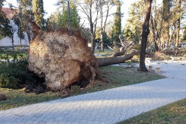Najjači udar vjetra u Trebinju 92 kilometra na čas