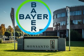 Monsanto opet pred sudom