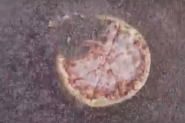 Pogledajte kako deset hiljada larvi pojede picu za dva sata
