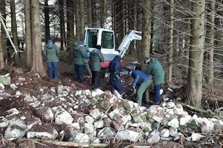 Zaplijenjena velika količina oružja u Irskoj