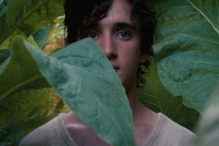Film Sedmice: "Srećan kao Lazaro"