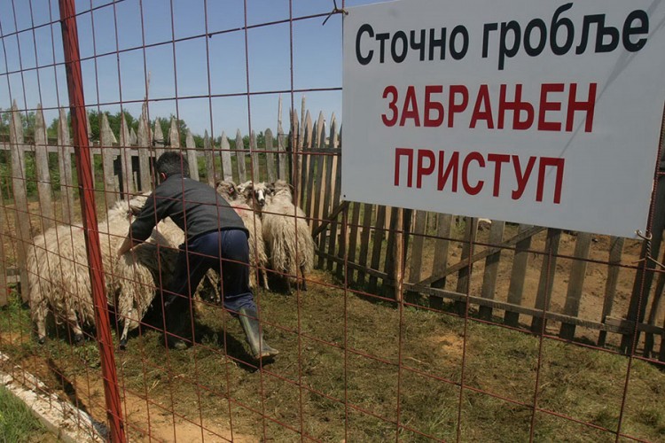 Korak bliže zbrinjavanju animalnog otpada