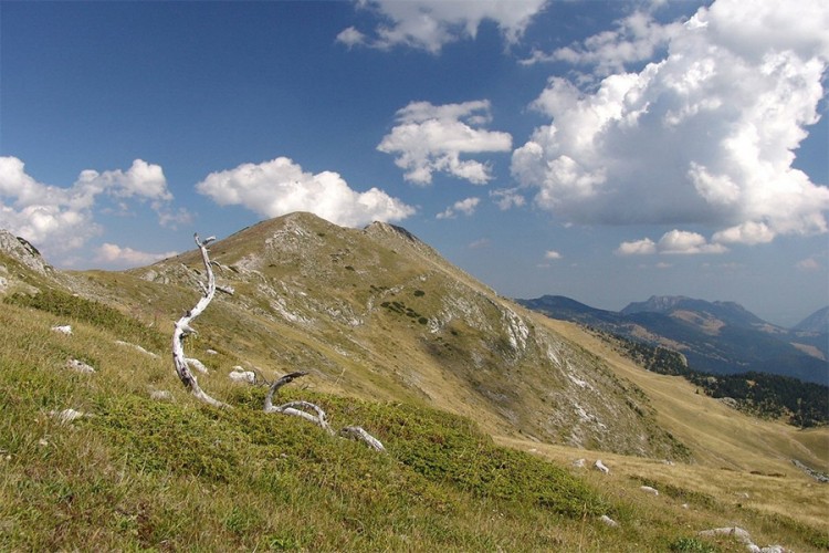 BiH zemlja visoke izloženosti prirodnim i vještačkim opasnostima