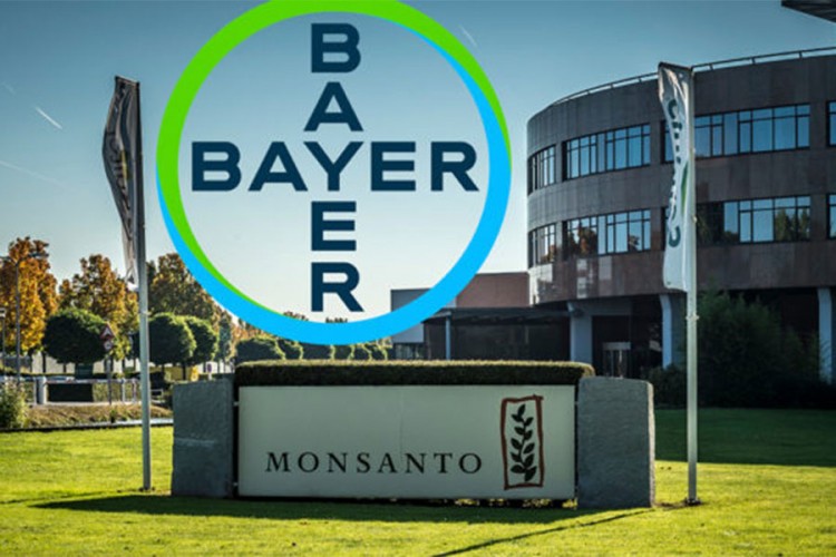 Monsanto opet pred sudom