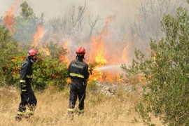 Vatrogasci u Derventi imali deset intervencija