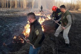 Ponovo gori Fruška gora, sumnja se da su požari podmetnuti