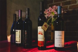 Vinska smotra u Neustadtu: Plantaže osvojile šest medalja