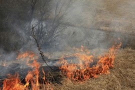 Prijedorčani palili korov, planulo šest objekata