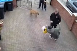 Maltretirao bolesnu ženu, njen sin ga brutalno nokautirao