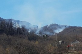 Požar kod Konjica, gori hrastova šuma