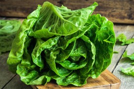 Sve dragocjenosti zelene salate